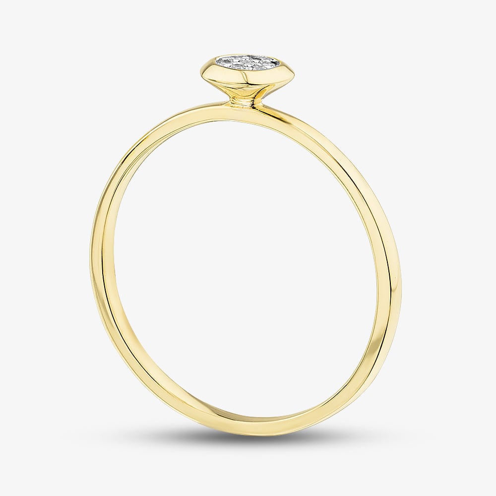 Pure Brilliance 9ct Yellow Gold 0.03ct Brilliant Cut Pave Diamond Round Ring THR45061-03 (YG)