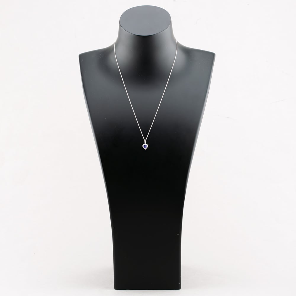 9ct White Gold Tanzanite & Diamond Heart Pendant Necklace RJP04753-TA