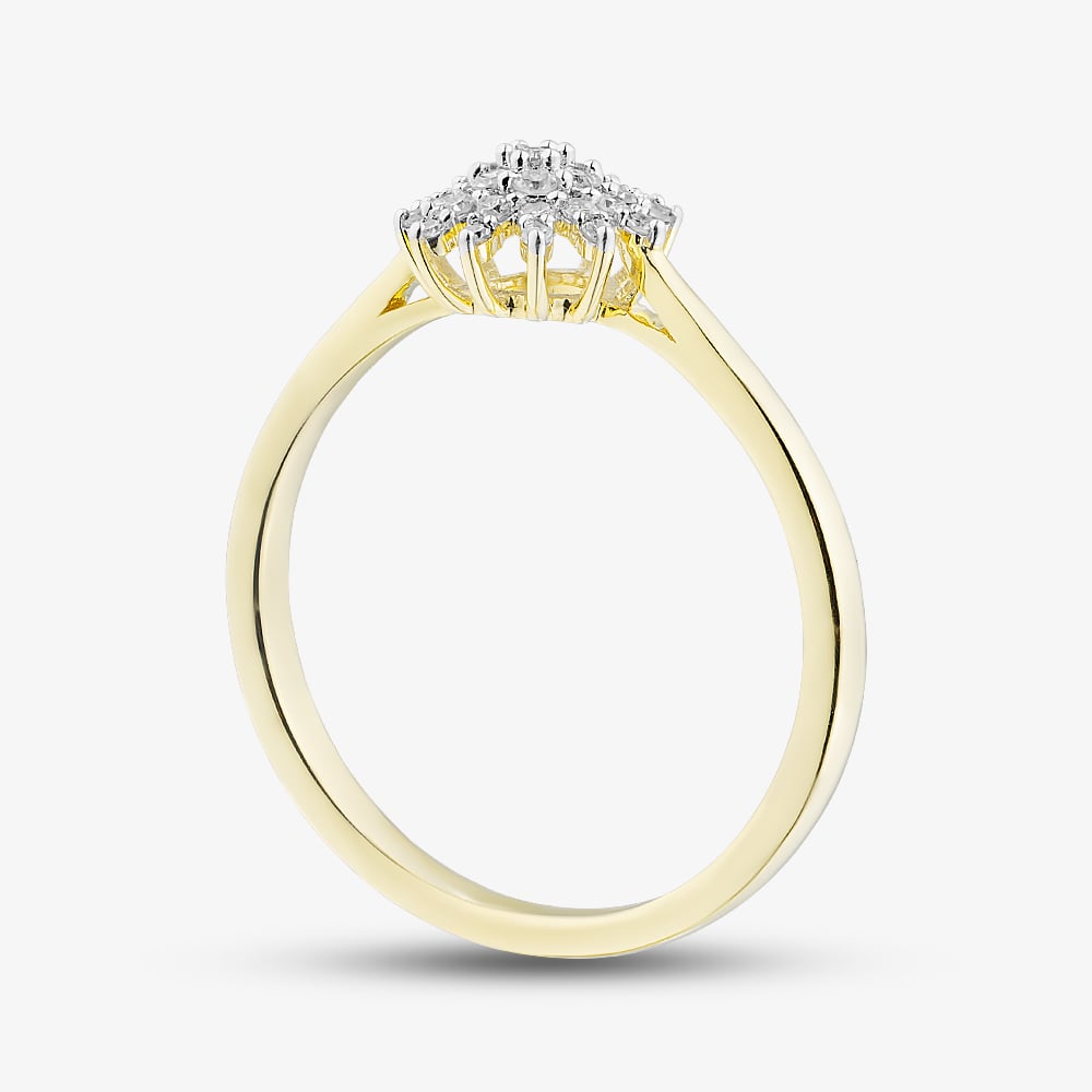 Pure Brilliance 9ct Yellow Gold 0.15ct Diamond Flower Cluster Ring THR48444-15 (YG)