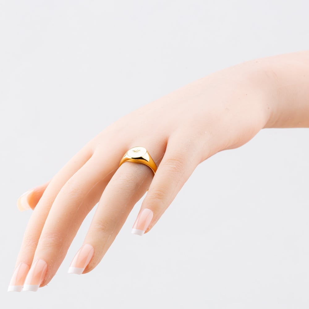 Silver Gold Plated Cubic Zirconia Oval Signet Ring S2050Y