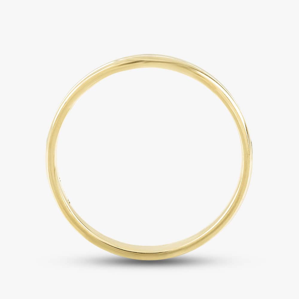 Brown & Newirth 9ct Two Colour Gold Wedding Ring 6005/3 9YW GTS