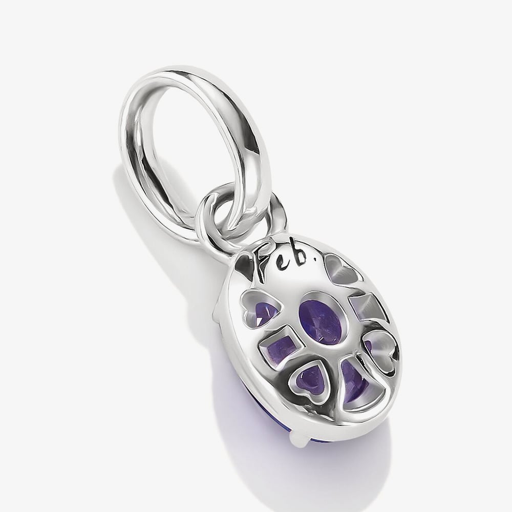 THOMAS SABO Charm Club Connect February Birthstone Charm CC1330-051-13