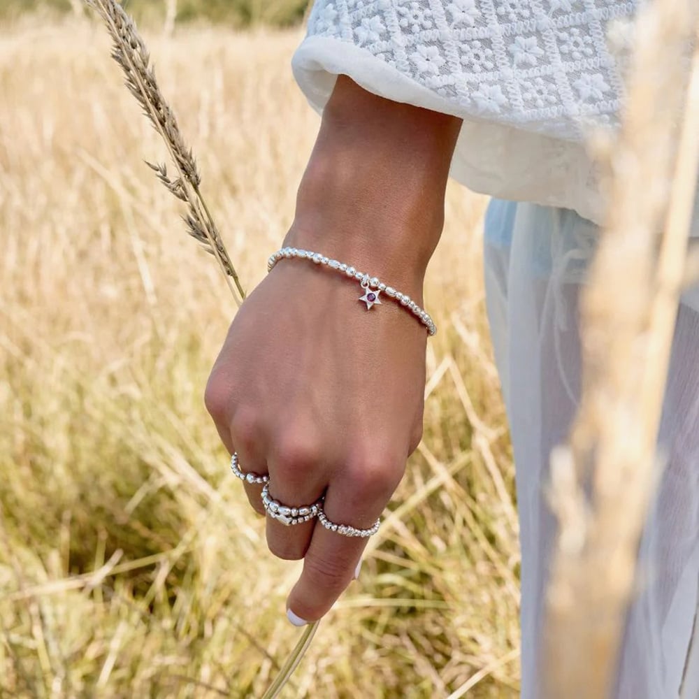 ChloBo Sterling Silver January Birthstone Bracelet SBBCB3480
