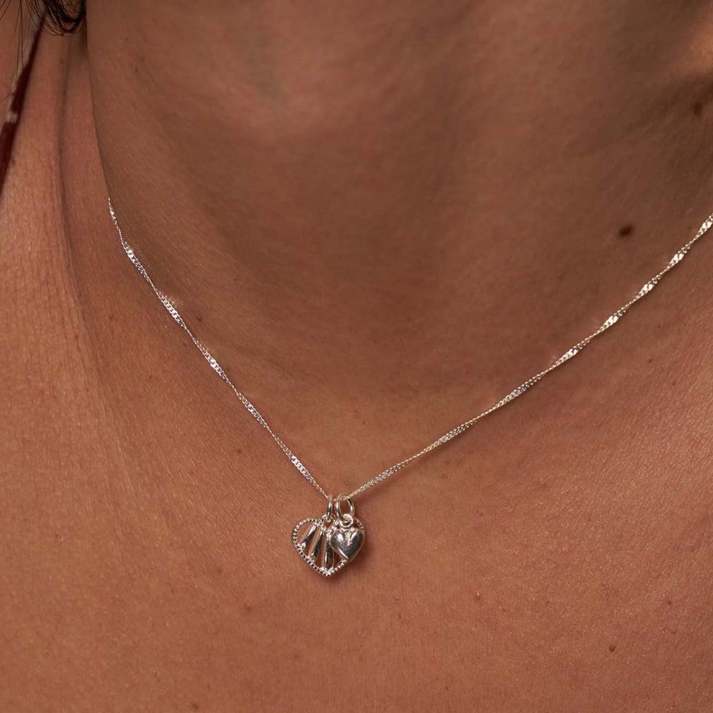 ChloBo Silver Tiny Twisted Rope Chain Loving Hearts Necklace SNTRC33441199