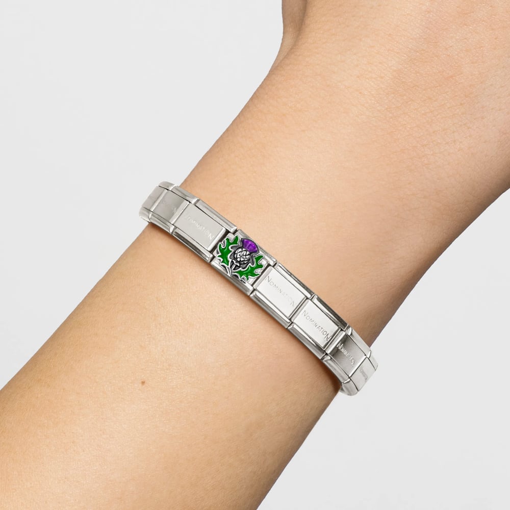 Nomination Composable Classic Link Silver, Purple & Green Thistle Charm 330204/43