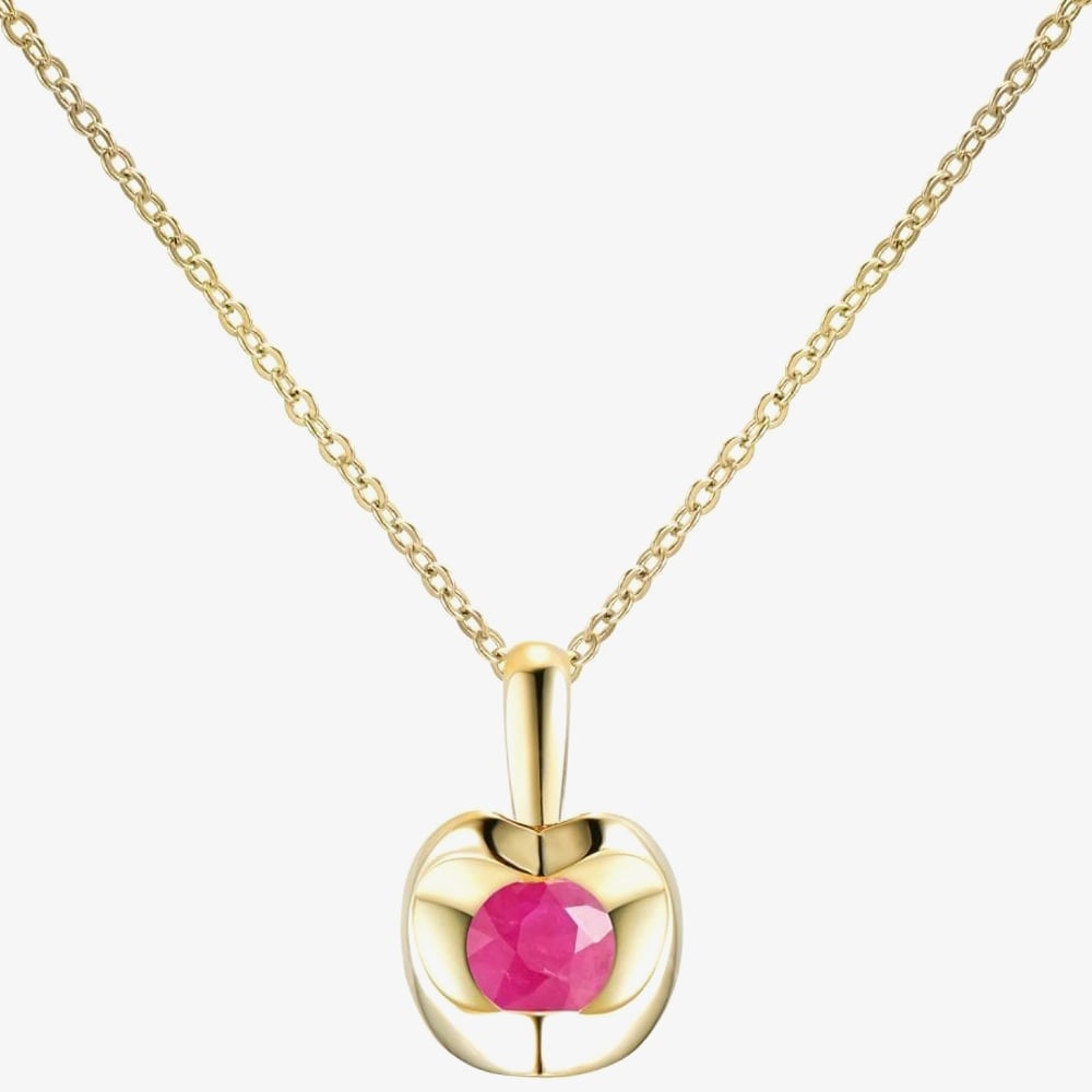9ct Yellow Gold Ruby Heart Necklace PP20238