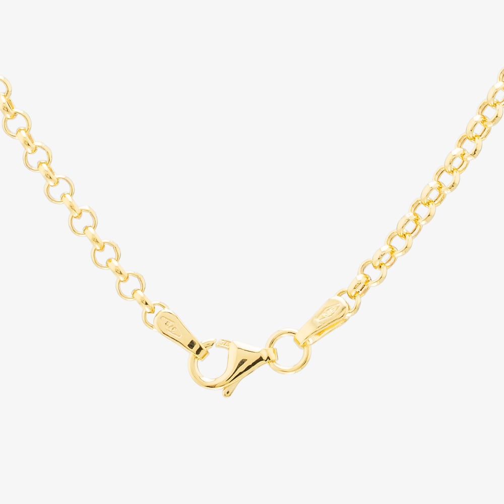 9ct Yellow Gold 16 or 18 Inch Round Belcher Chain HRB080