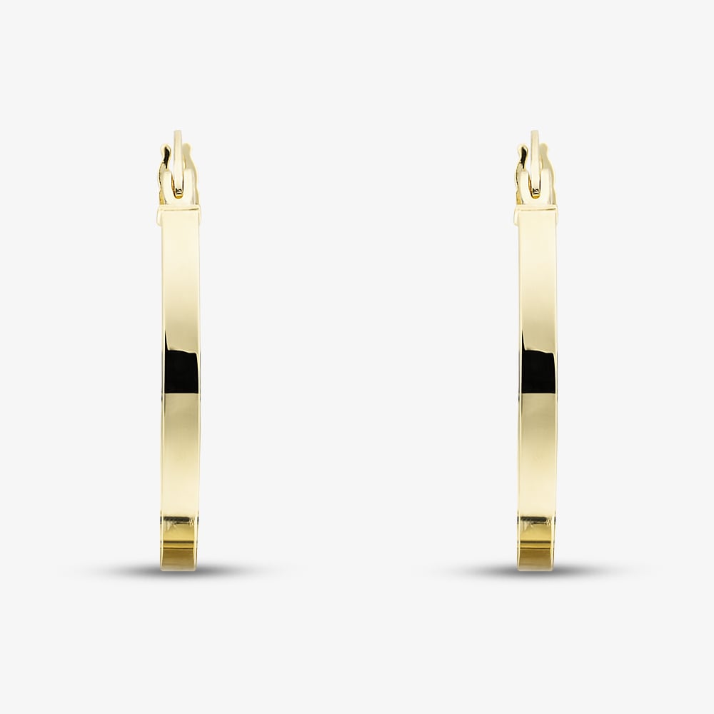 9ct Yellow Gold Flat Hoop Earrings E-RTPS-21520-9Y