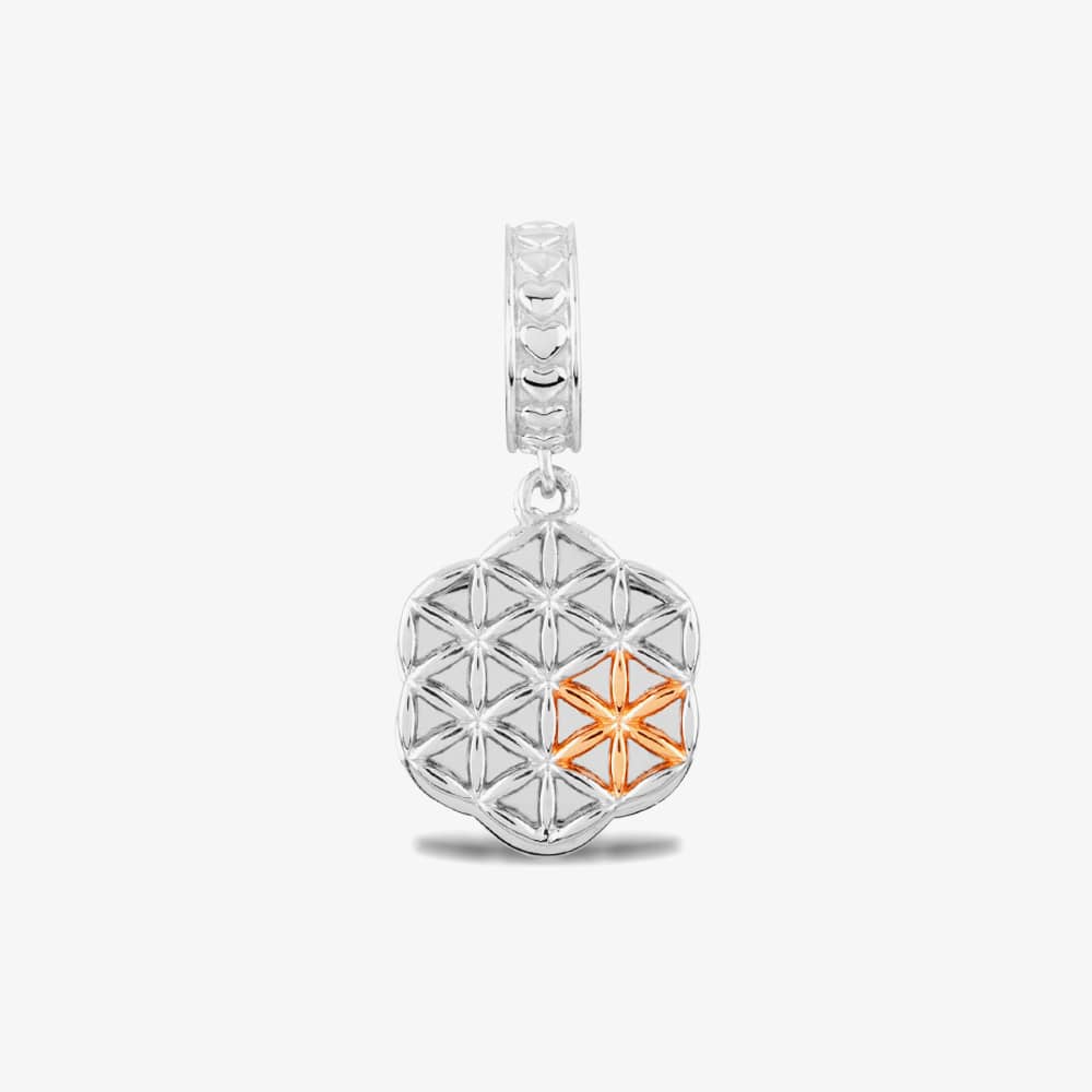 Rosa Lea Geometric Triangles Dropper Charm AM-2THB016106