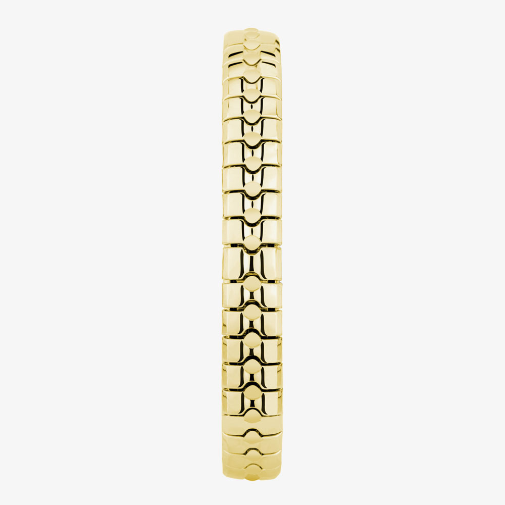 Sekonda Newton Gold Expandable Watch 40679
