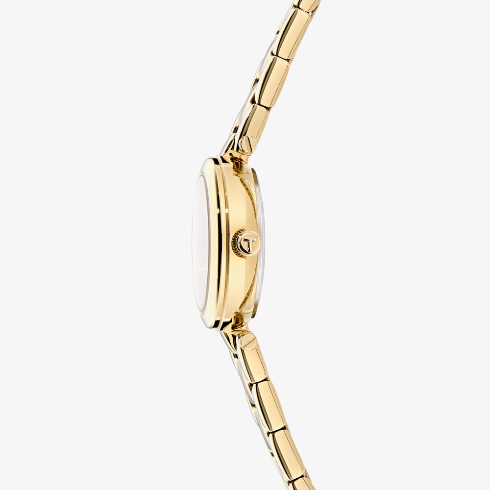 Ted Baker Gold Watch BKPJLF4019I