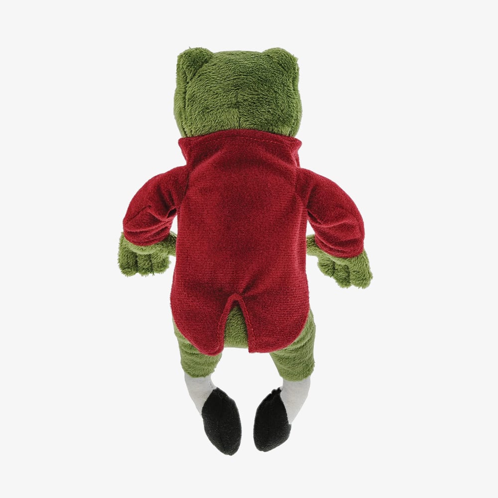 Peter Rabbit Mr Jeremy Fisher Small Soft Toy A30816