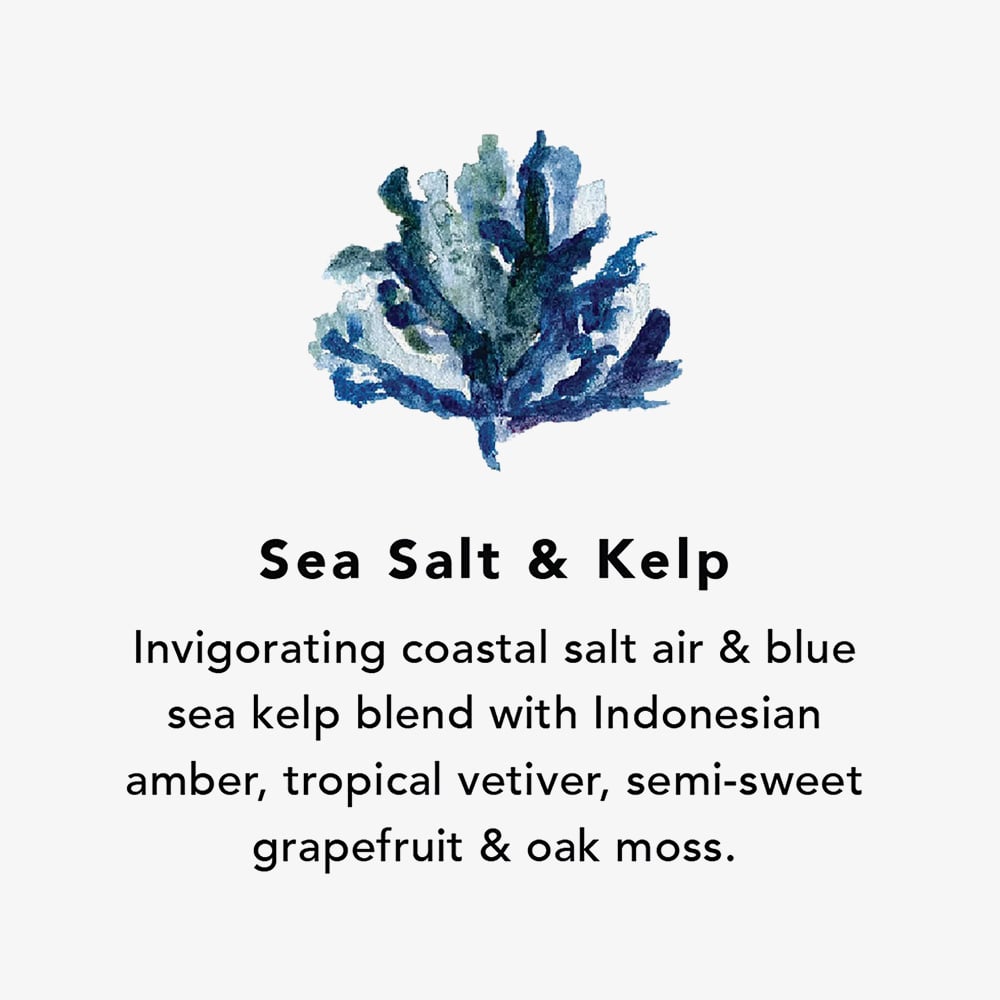 Northern Lights Sea Salt & Kelp Wax Melts Jar NL132