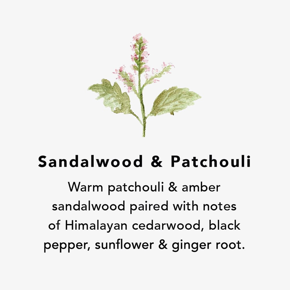 Northern Lights Sandalwood & Patchouli Wax Melts Jar NL128