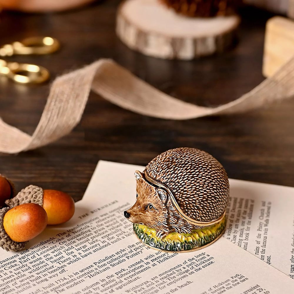 Treasured Trinkets Hedgehog Trinket Box 15342