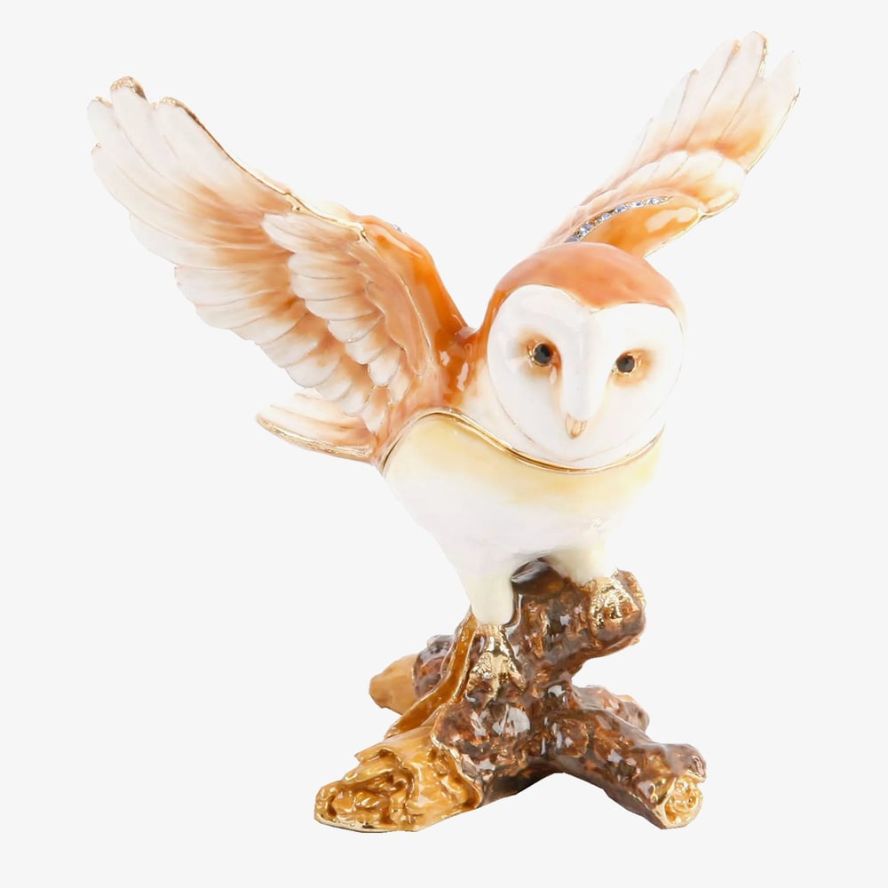 Treasured Trinkets Owl Trinket Box 14807