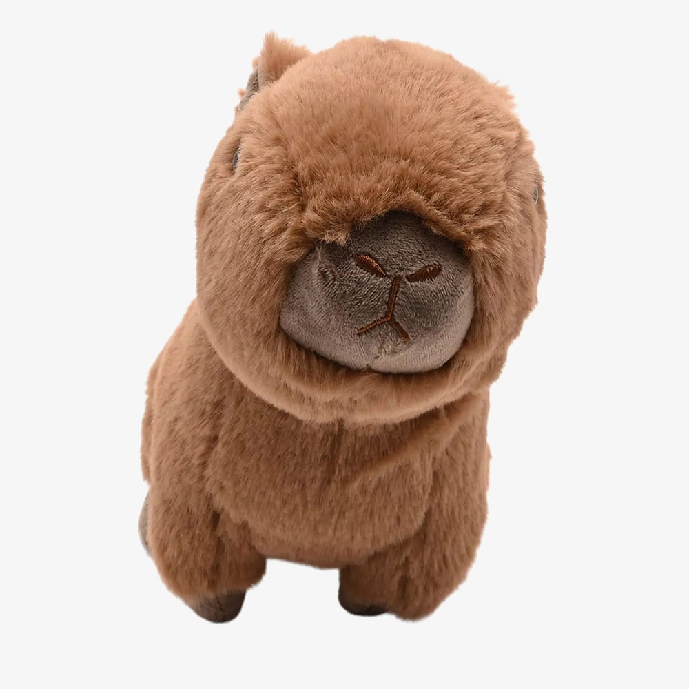 Softies Carrie The Capybara Soft Toy SOF191