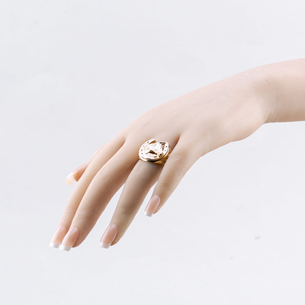 Pre-Owned 9ct Yellow Gold Horse Head Signet Ring 41342054