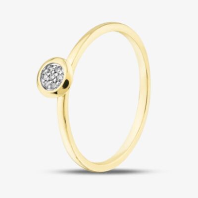 Pure Brilliance 9ct Yellow Gold 0.03ct Brilliant Cut Pave Diamond Round Ring THR45061-03 (YG)
