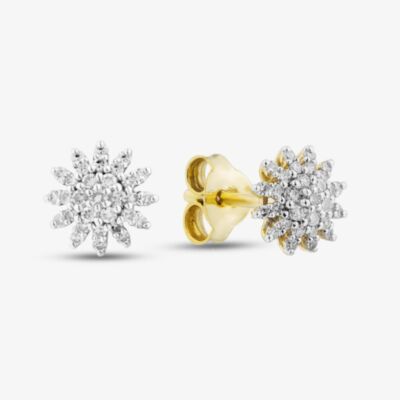 Pure Brilliance 9ct Yellow Gold 0.20ct Diamond Flower Stud Earrings THE48851-20 (YG)