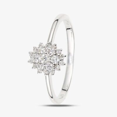 9ct White Gold 0.25ct Diamond Cluster Ring DR1673W