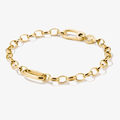 THOMAS SABO Charm Club Connect Yellow Gold Tone Plated Charm Bracelet C1202-S02-39