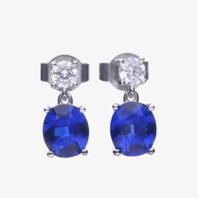 Diamonfire Sterling Silver Blue Cubic Zirconia Drop Earrings E5978