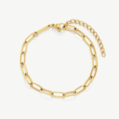 D.Louise Yellow Gold Tone Plated Stainless Steel Paperclip Bracelet GB-009