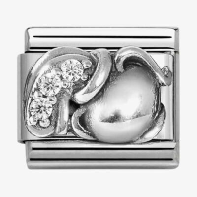 Nomination Silvershine Sterling Silver Cubic Zirconia Aquarius Charm 330326/11