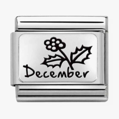 Nomination CLASSIC Composable Plates December Flower Charm 330112/24