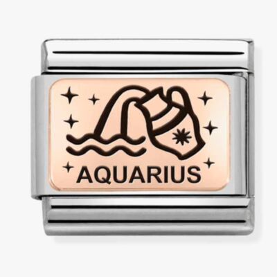 Nomination CLASSIC Composable Plates Aquarius Charm 430112/11