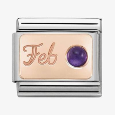 Nomination CLASSIC Rose Gold February Amethyst Charm 430508/02