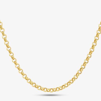 9ct Yellow Gold 20 Inch Belcher Chain HRBP-400-9Y-20