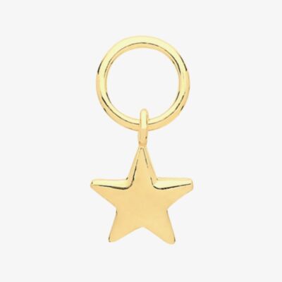 9ct Yellow Gold Star Earring Charm EPN004