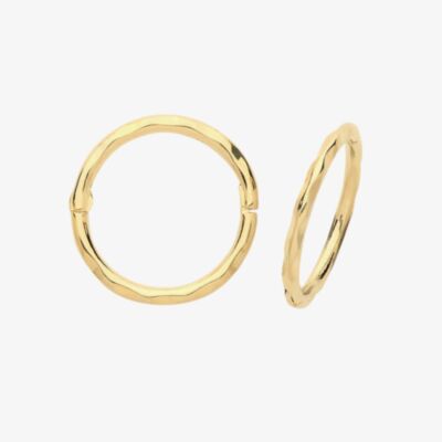 Gold Classic 9ct Yellow Gold 10mm Hinged Hoop Earrings ER1169