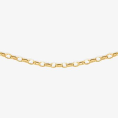 9ct Yellow Gold Oval Belcher Chain 1.14.5814