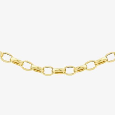 9ct Yellow Gold Oval Belcher Chain 1.14.5854