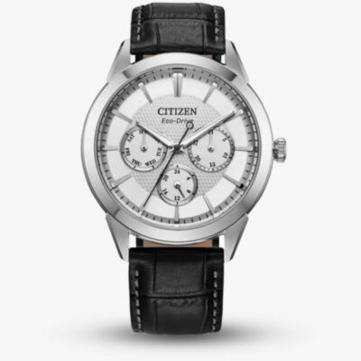 Citizen Rolan Eco-Drive Black Watch BU2110-01A