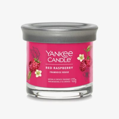 Yankee Candle Red Raspberry Small Tumbler Candle 2654105E