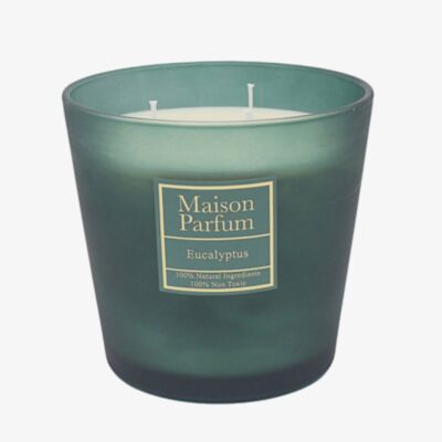 Maison Parfum Eucalyptus 800g Candle LP76981
