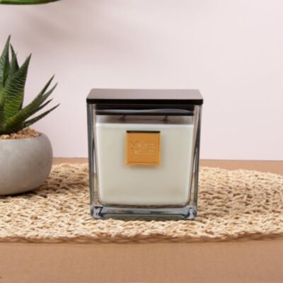 Maison Parfum Suave 450g Candle LP77643
