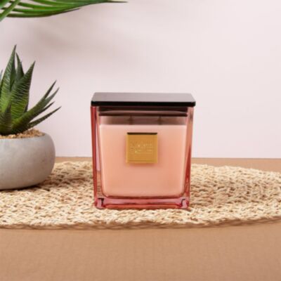Maison Parfum Rouge 450g Candle LP77648