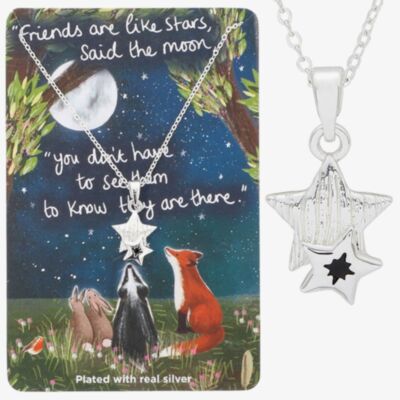 Silver Plated 'Friends Are Like Stars' Star Pendant Necklace 364326