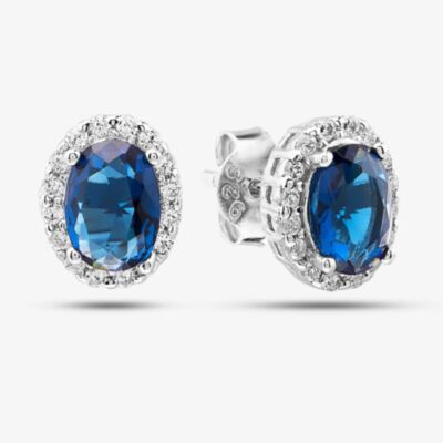 Silver Oval Blue Crystal Earrings E611267