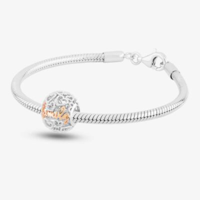 Rosa Lea Family Charm & Bracelet AM-2THB013906 & AM-2THB013504