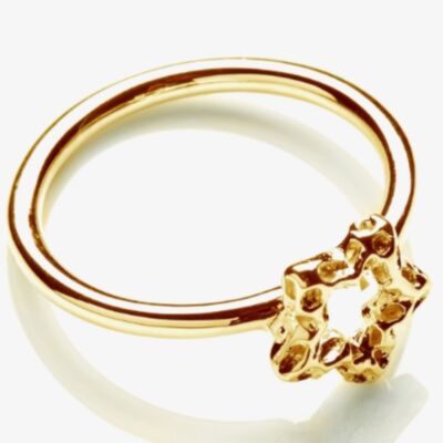 Rachel Galley Gold Plated Mini Star Ring S300YGMD 