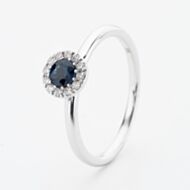 9ct White Gold Brilliant Cut Sapphire & Diamond Cluster Ring NTR832SD-9WG