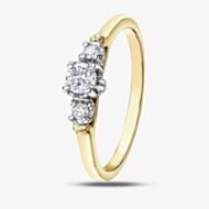 9ct Two Colour Gold 0.25ct Diamond Ring 2030YW/25-10