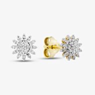 Pure Brilliance 9ct Yellow Gold 0.20ct Diamond Flower Stud Earrings THE48851-20 (YG)