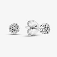 9ct White Gold 0.12ct Diamond Flower Stud Earrings THE17445-12